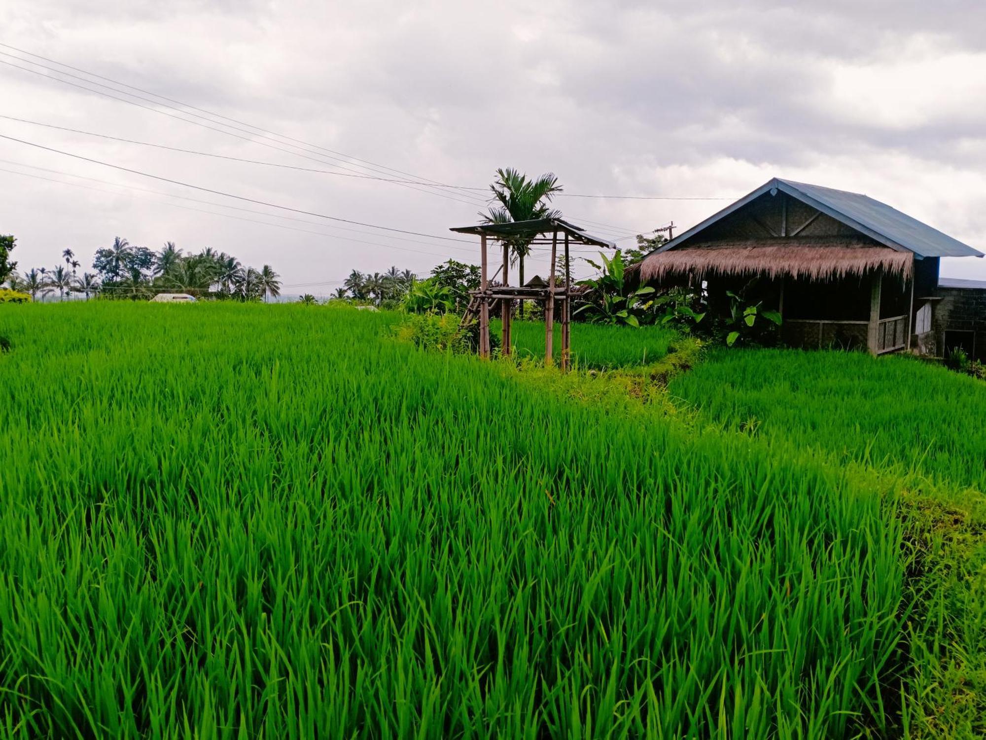 Bayan Exotic Homestay Senaru Exterior photo