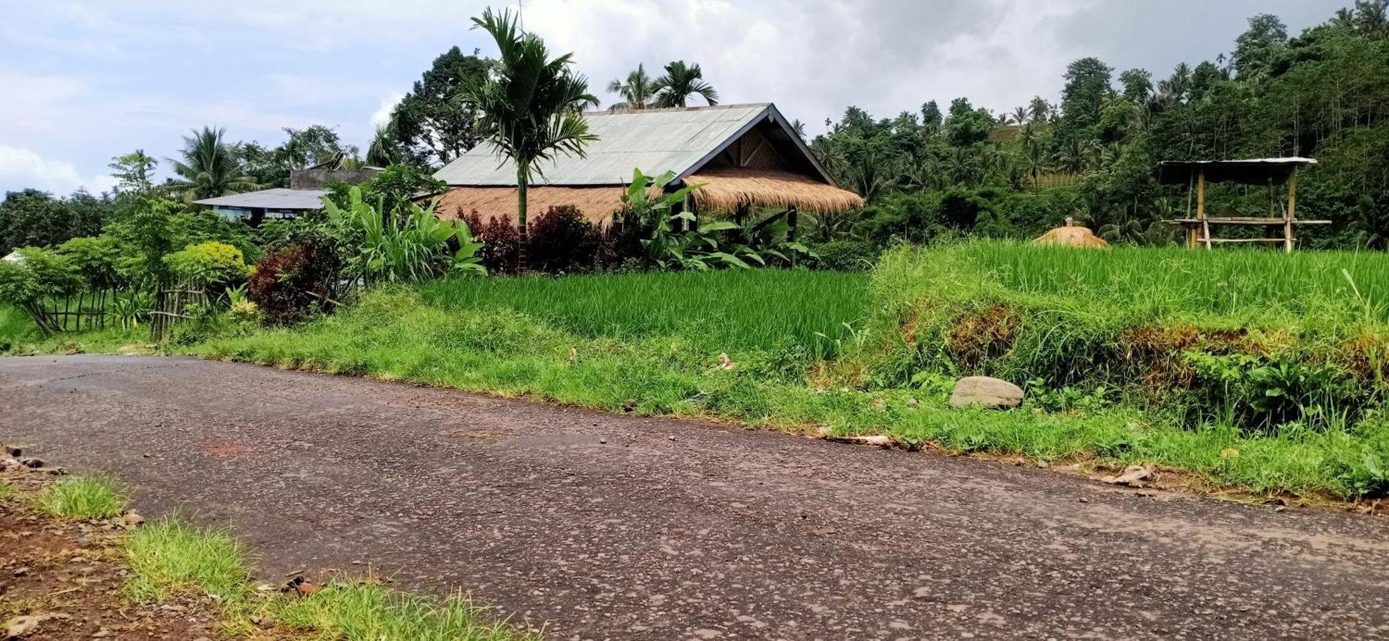Bayan Exotic Homestay Senaru Exterior photo