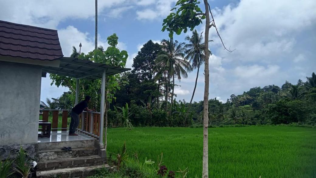 Bayan Exotic Homestay Senaru Exterior photo