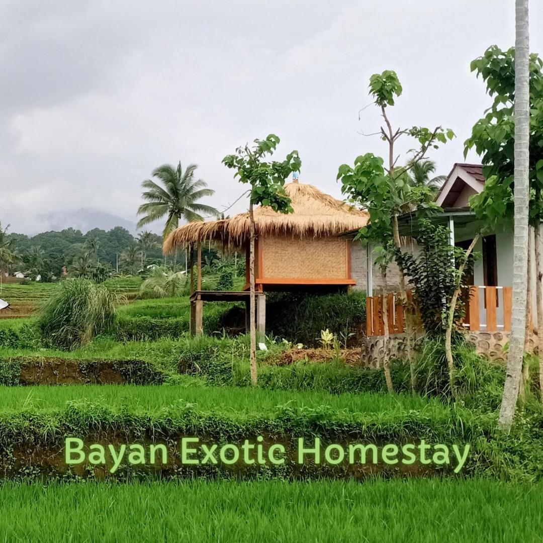 Bayan Exotic Homestay Senaru Exterior photo