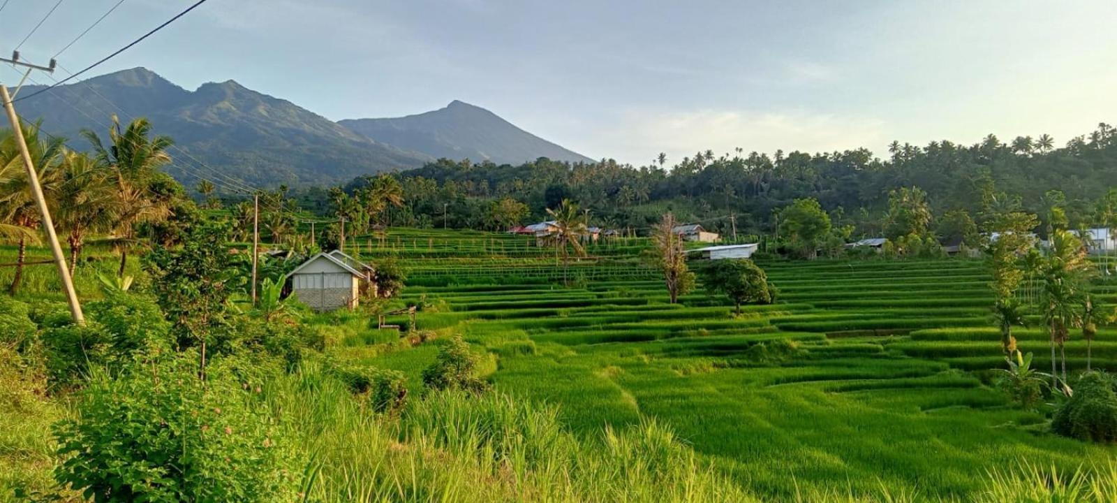 Bayan Exotic Homestay Senaru Exterior photo